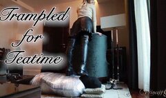 Trampled for Teatime