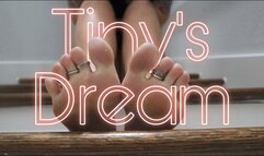 Tiny's Dream
