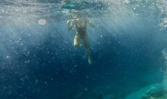 Wild day in Zakynthos