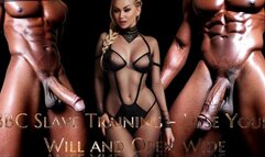 BBC Slave Training - Lose Your Will and Open Wide WMV