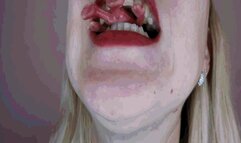 Hungry shark AVI (1920*1080) HD