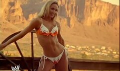 WWE Divas South of the Border