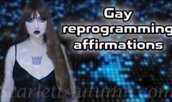 Gay reprogramming affirmations - MP4 SD 480p