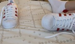 Adidas Superstar Shoejob Sneaker Fetish