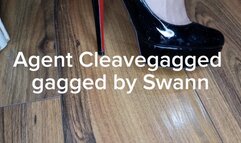 Detective Cleaved tied and gagged by Swann