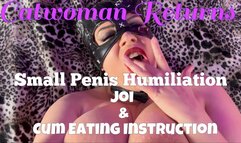 SPH CUCK CEI Catwoman Returns: Femdom POV JOI Body Worship Boob & Pussy Play & Verbal Humiliation