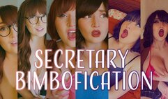 Executive Assistant to Sexcretary Slut