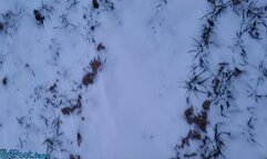 Winter Barefoot Snow Challenge 19 Jan 24