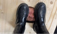 Dirty shoes licking and trampling slave's face in the face-box