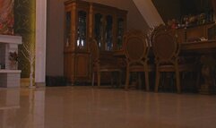 Pantyhose lover to my human toilet