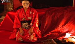 Geisha 1 480p wmv