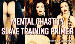 Mental Chastity Slave Training Primer wmv