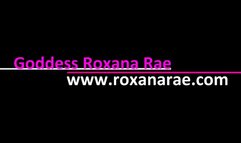 Complete Surrender in 2024