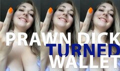 Homewrecked prawn dick turned moneyslave!