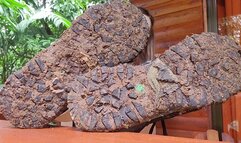 Dirty Hike Boots, Dirty Socks