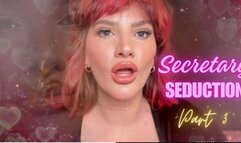 Secretary Seduction [Part 3]