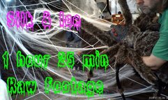 Silk & Ice - raw footage 540res