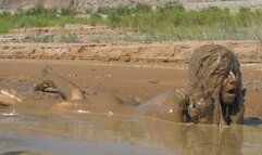 Paris and Her Erotic Wallow - Ultimate Edit