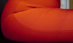 Teddy bear will suffer