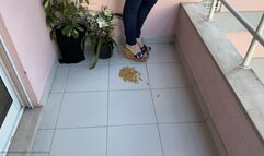 Crushing and stepping on your ego