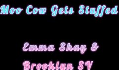 Moo Cow Gets Stuffed