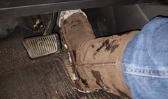 Absent-mindedly playing in Bearpaws