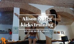 Alison and Meg kicks training on human target