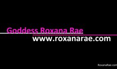 February Tiny Dick Tax 2024