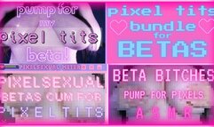 Pixel Tits Bundle for Betas (1080 WMV)