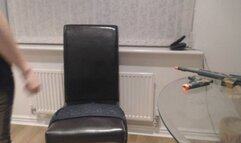 Firearm Destruction 2