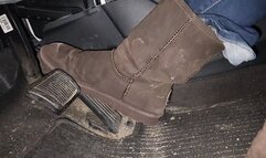 Play and moving my car in bearpaws