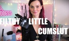 Filthy Little Cumslut