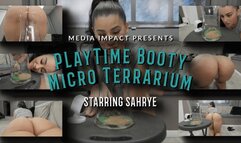 Playtime Booty Micro Terrarium