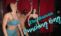 The human punching bag