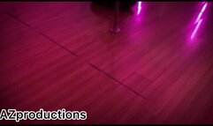 Lucazfox pole dancing