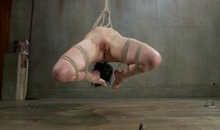 This Bitch Will Suffer in My Ropes!!!