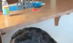 Ebony Teen Sucking BBC