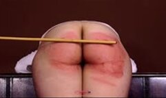 The Importance of Maths 6 (SD)