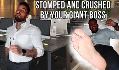Crushed by your giant boss - Lalo Cortez