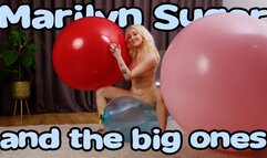 1494 Marilyn and the big ones 4K