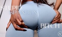 Stupid Spandex Bitch