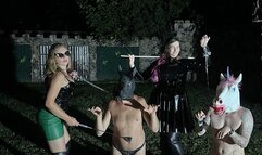 EQUESTRIAN APPOINTMENT - night pony training in the Castle