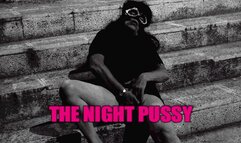 THE NIGHT PUSSY