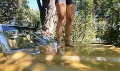 M In Real Car Trample