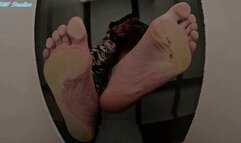 Wrinkles with no clue of you on the floor, oh but what is that a bug! - MP4