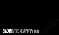 The new puppy has arrived and I want to test him