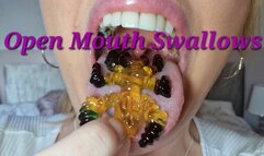 Large open mouth swallows