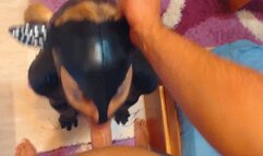 horny cat-woman gets face fucked hard, cum in mouth