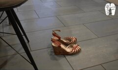 Pieces of Cake under Wedges head view