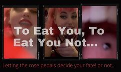 Phoenix Lets The Roses Decide Your Fate - 1080p